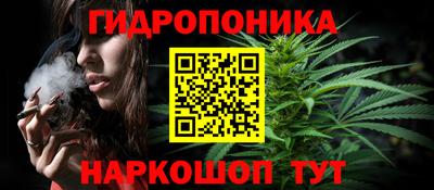 jwh Свободный